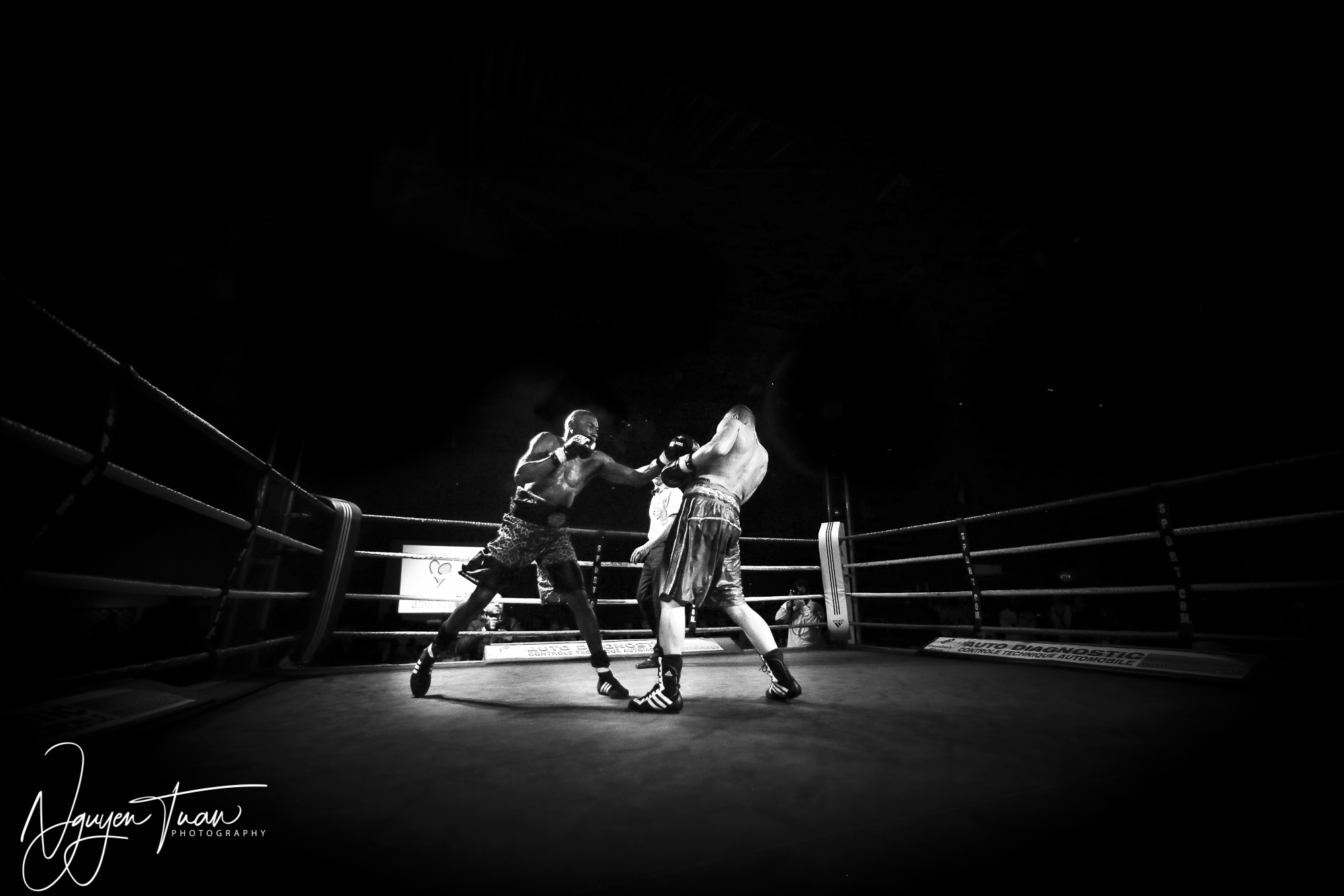 GALA BOXE 2018  3919